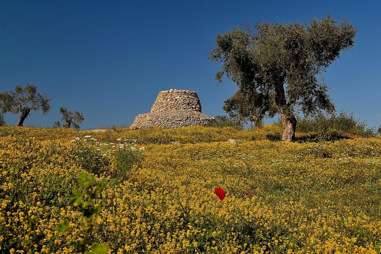 Meraviglie Del Salento Porto Cesareo Bagian luar foto